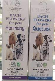 Bach Flowers for Pets Harmony