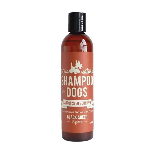 Black Sheep Orgaics Shampoo for Dogs Carrot Seed & Juniper