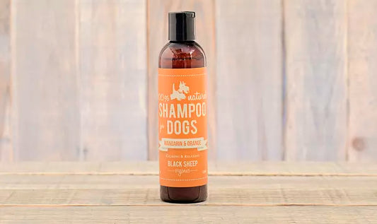 Black Sheep Orgaics Shampoo for Dogs Mandarin & Orange