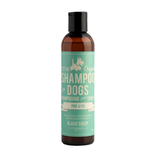 Black Sheep Orgaics Shampoo for Dogs Pine & Fir