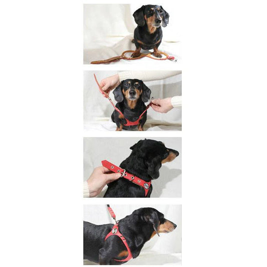 Buddy Belt Harness Sizes 1 thru 3.5