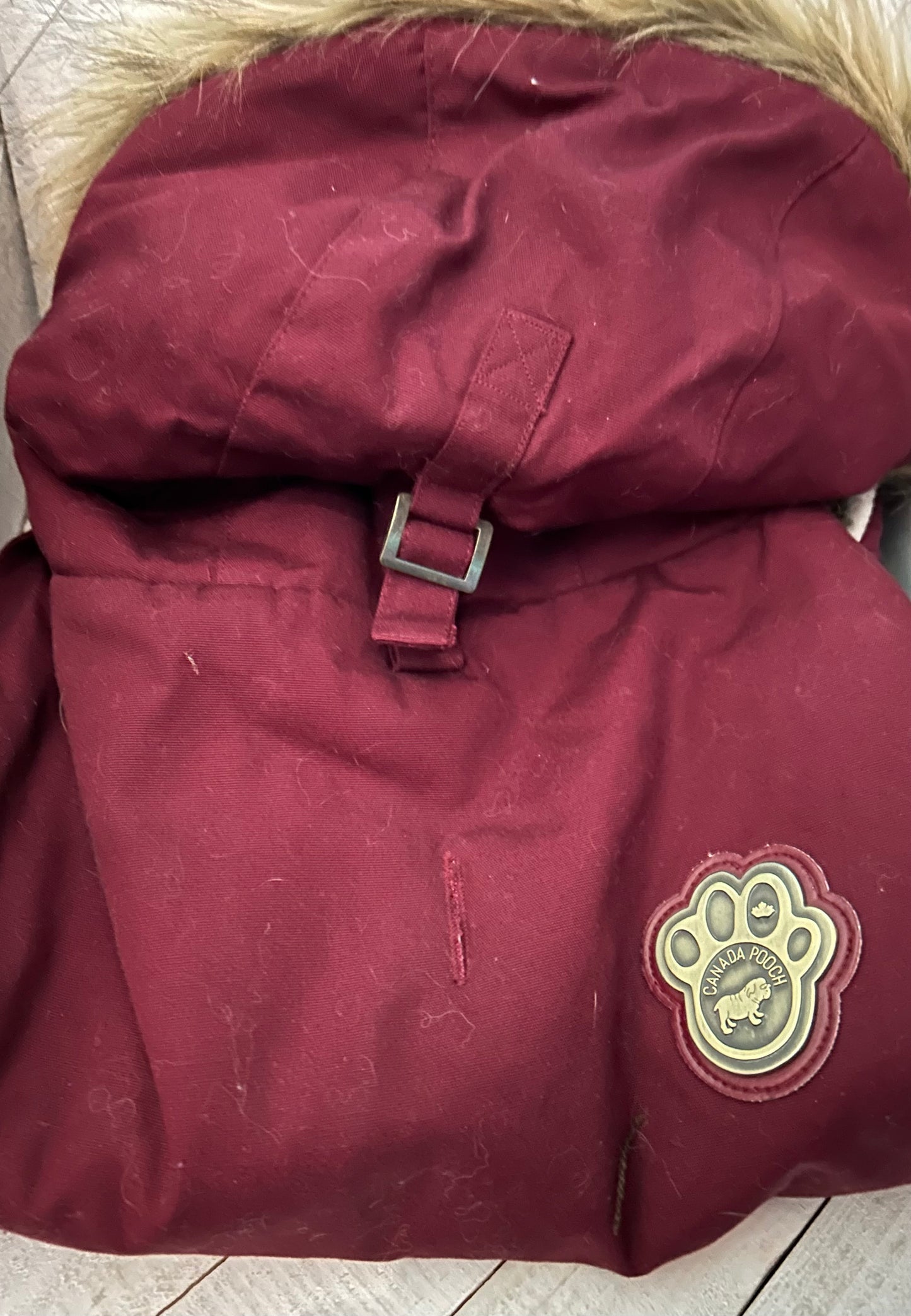 Canada Pooch Alaskan Army Parka