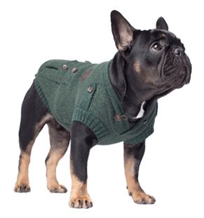 Canada Pooch Cargo Cardigan