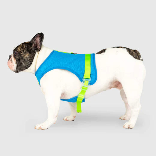 Canada Pooch Chill Seeker Cooling Harness