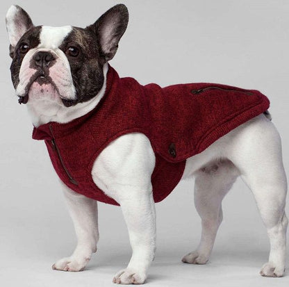 Canada Pooch Northern Knit Sweater