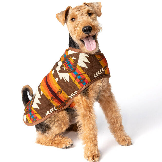 Chilly Dog Blanket Dog Coat