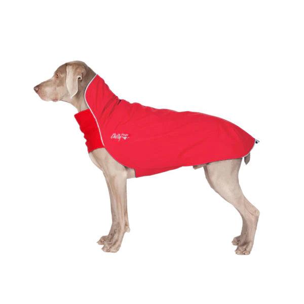 Chilly Dogs Rain Slicker