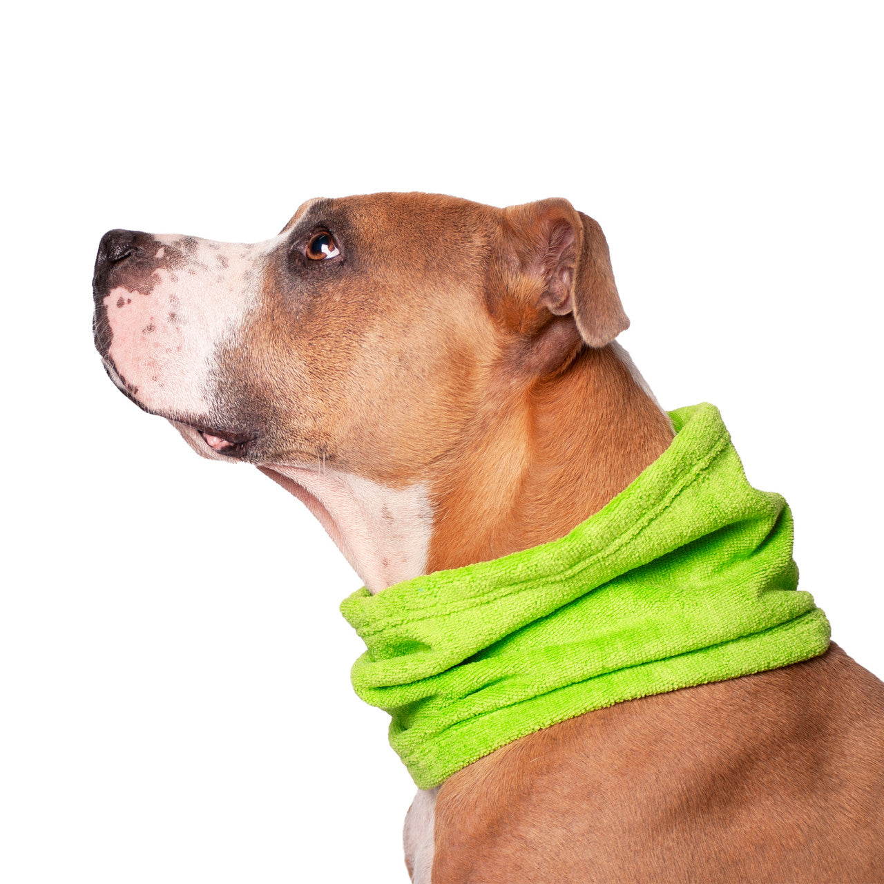 Chilly Dogs Soaker Bandana