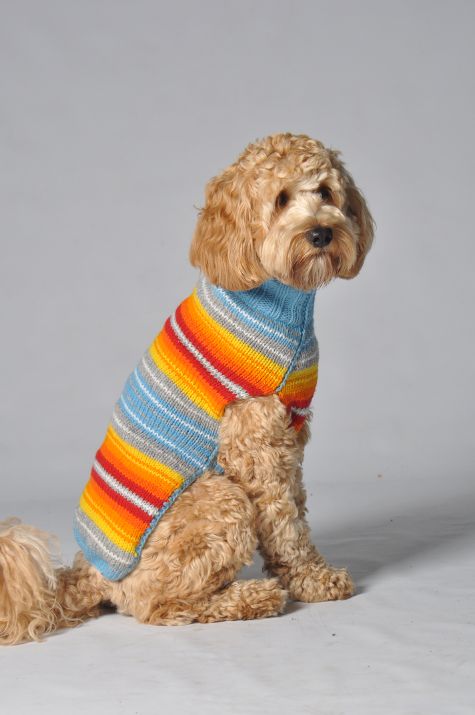 Chilly Dog Turquoise Serape Sweater