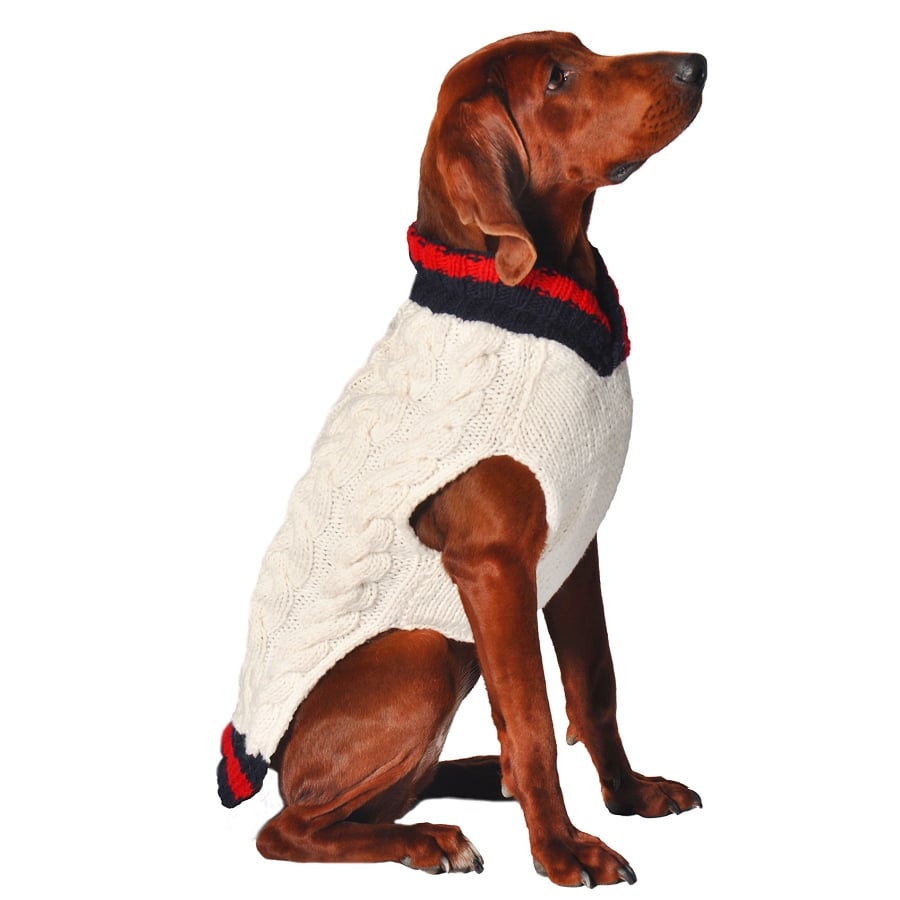 Chilly Dog Varsity Sweater