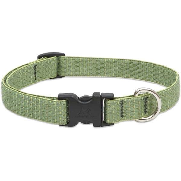 Lupine Eco Collars