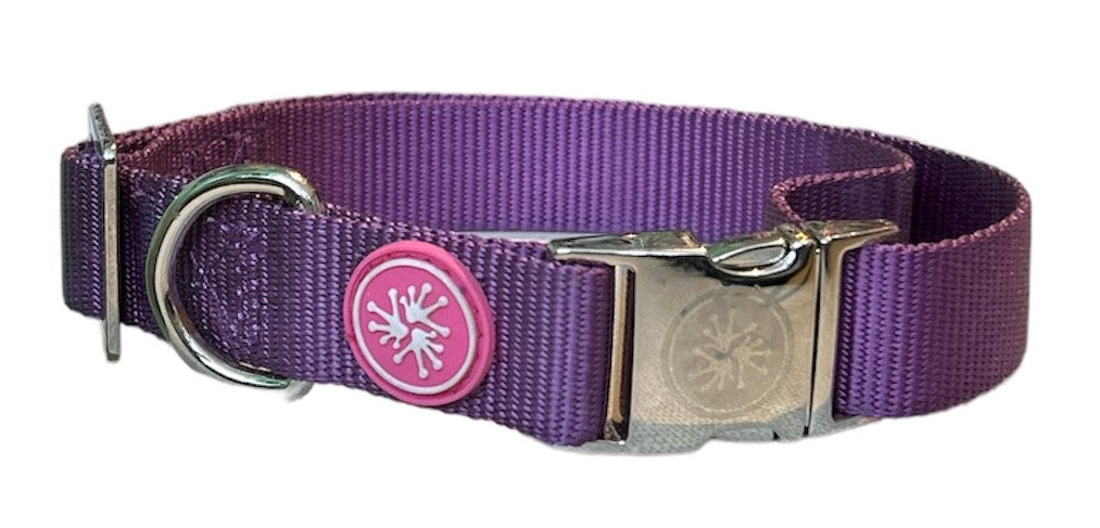 Pink Frog Clip Collars