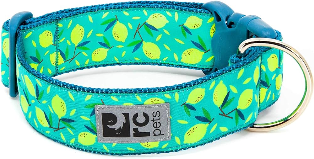 RC Pets Clip Collar