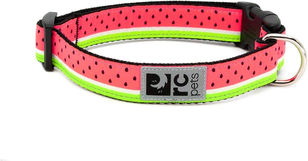 RC Pets Clip Collar