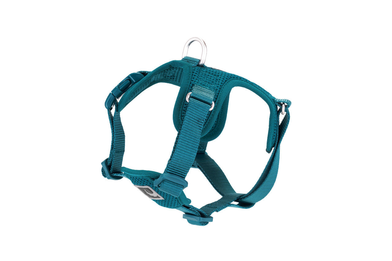 RC Pets Forte Step in Harness