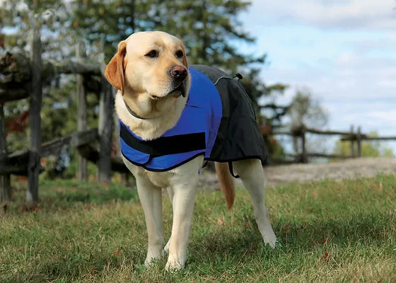 Shedrow Cloudburst Rain Jacket