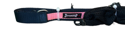 Smoochy Poochy Nylon Hands Free Leash Two Tone