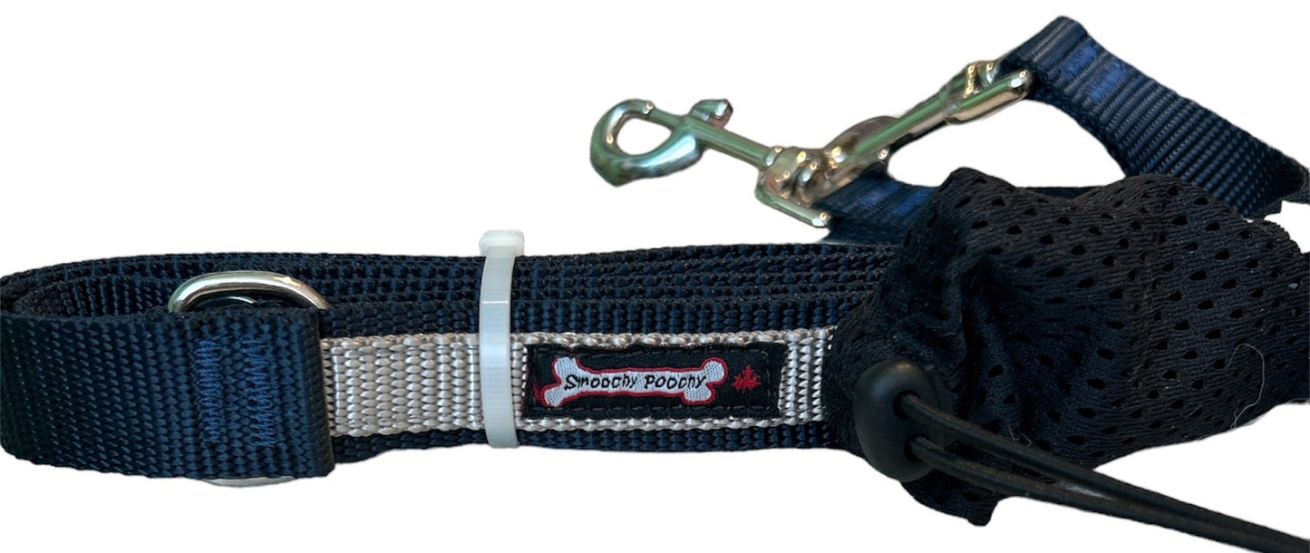 Smoochy Poochy Nylon Hands Free Leash Two Tone