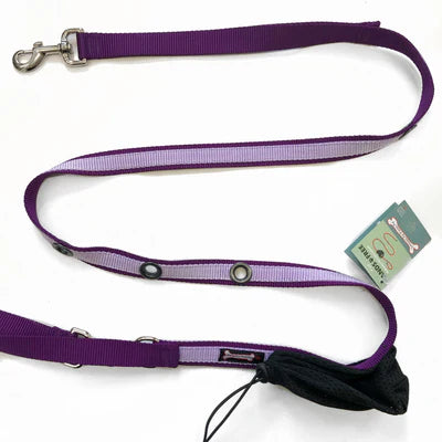 Smoochy Poochy Nylon Hands Free Leash Two Tone