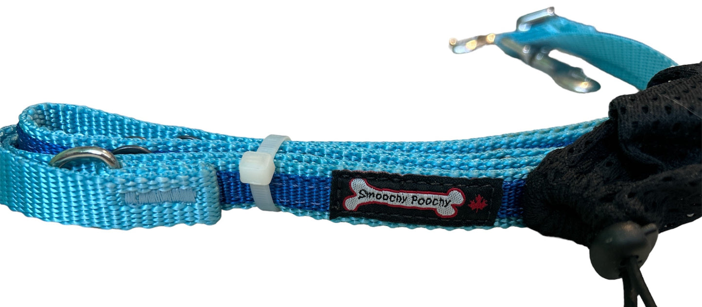 Smoochy Poochy Nylon Hands Free Leash Two Tone