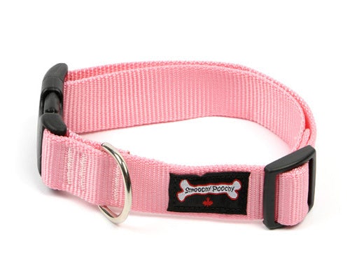 Smoochy Poochy Nylon Collar - 5/8" width