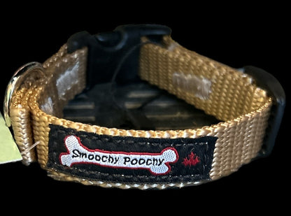 Smoochy Poochy Nylon Collar - 3/8" width