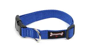 Smoochy Poochy Nylon Collar - 5/8" width