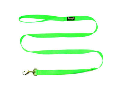 Smoochy Poochy Nylon Leash