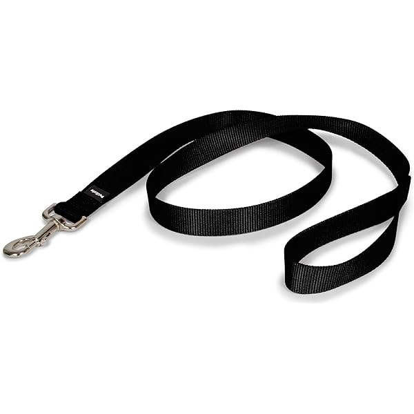 Smoochy Poochy Nylon Leash