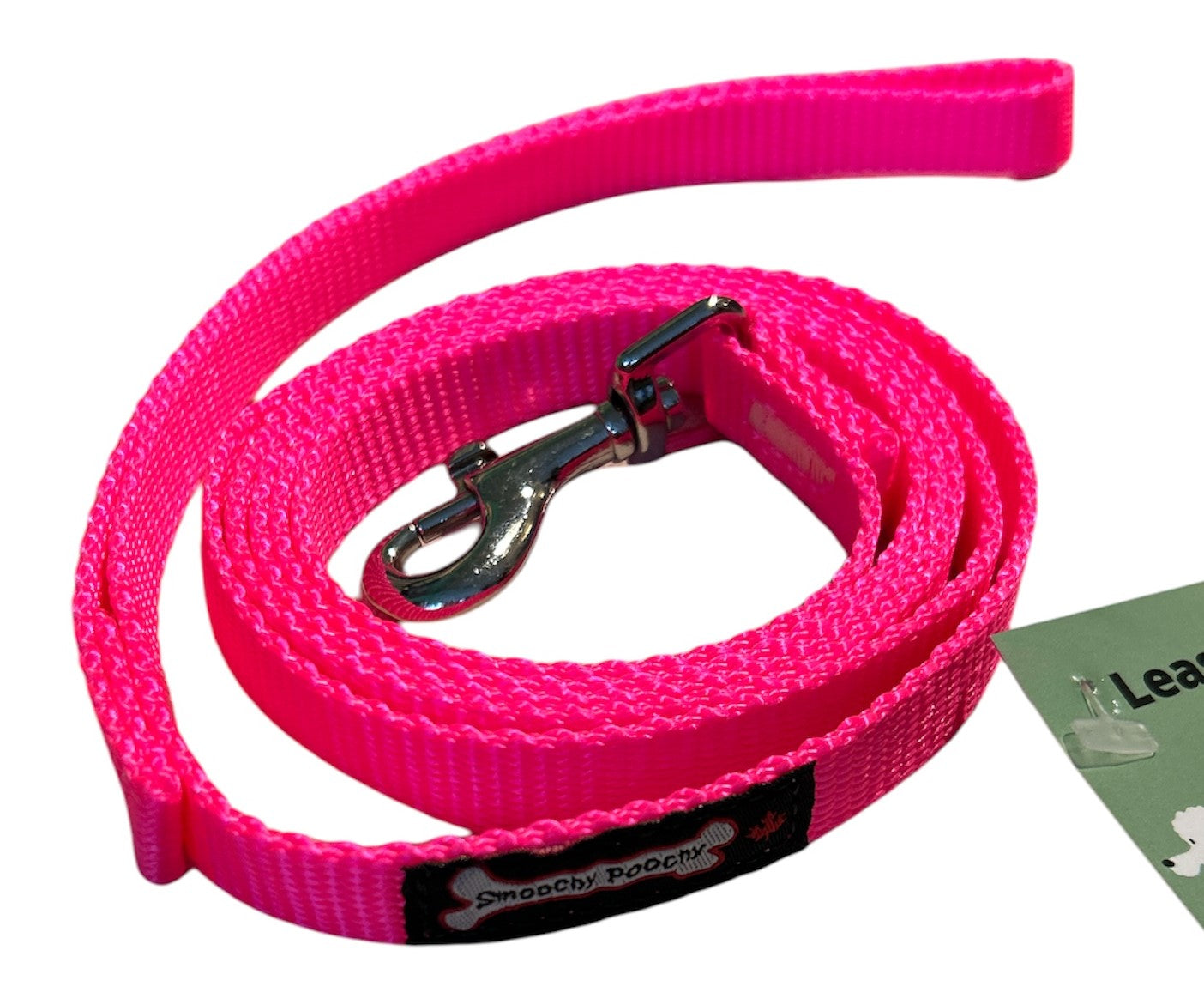 Smoochy Poochy Nylon Leash