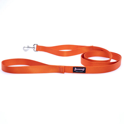 Smoochy Poochy Nylon Leash