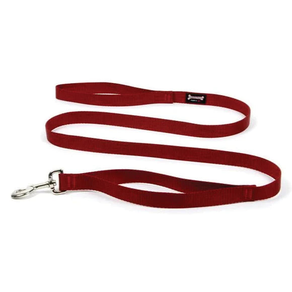 Smoochy Poochy Nylon Leash