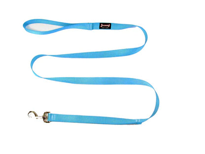 Smoochy Poochy Nylon Leash