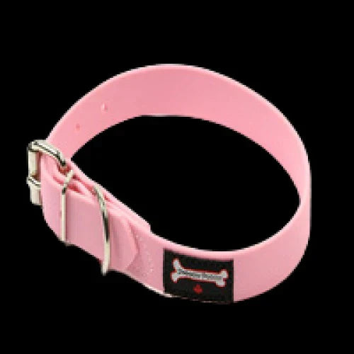 Smoochy Poochy Buckle Poly Vinyl Collar - 1" width size 24