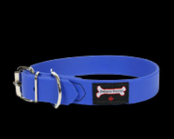 Smoochy Poochy Buckle Poly Vinyl Collar - 1" width sizes 14 - 22