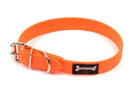 Smoochy Poochy Buckle Poly Vinyl Collar - 1" width sizes 14 - 22