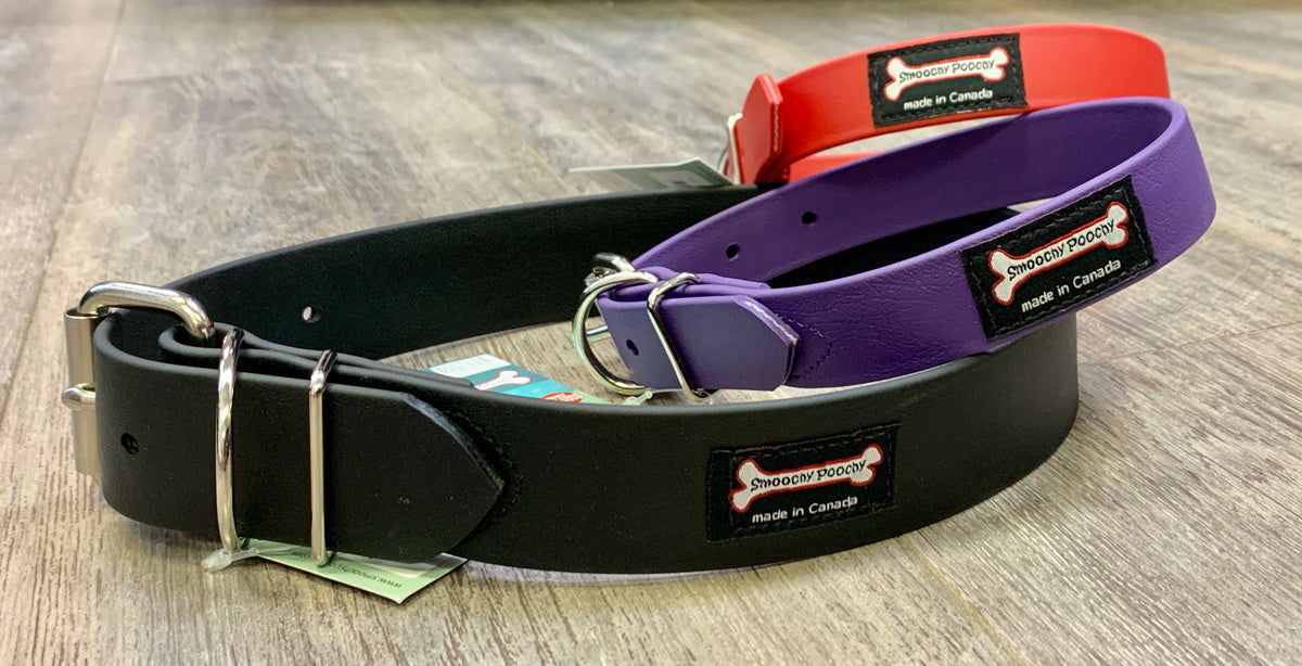 Smoochy Poochy Buckle Poly Vinyl Collar - 1.5" width