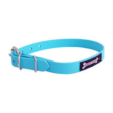 Smoochy Poochy Buckle Poly Vinyl Collar - 1.5" width