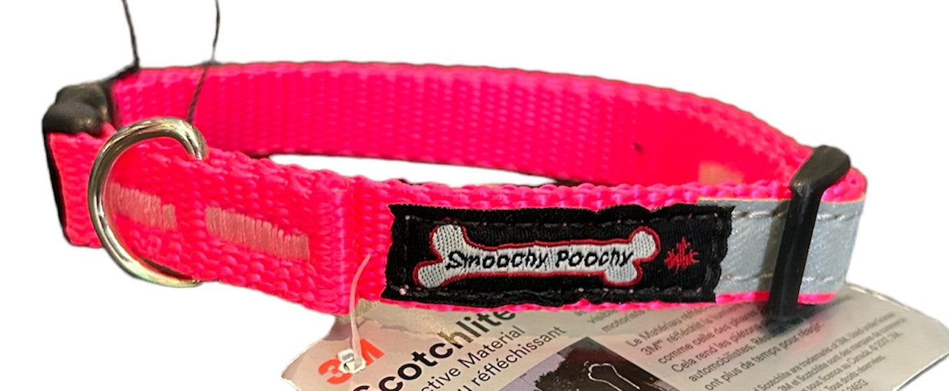 Smoochy Poochy Reflective Nylon Collar