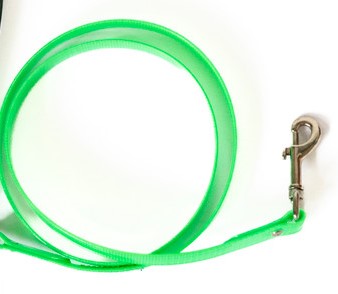 Smoochy Poochy Shiny Extension Leash