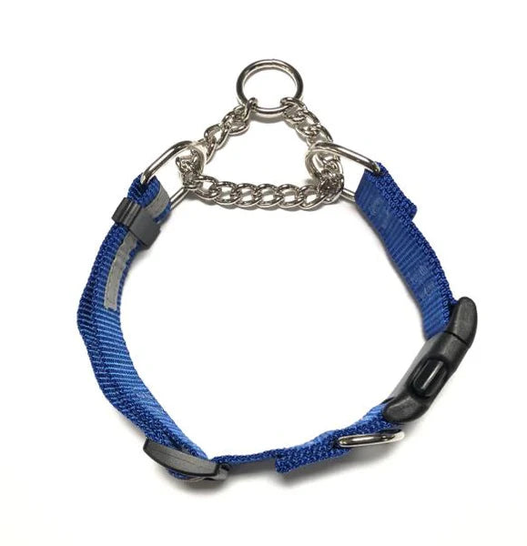 Smoochy Poochy Smoochygale Collar with Chain and Quick Release Buckle