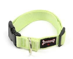 Smoochy Poochy Nylon Collar - 5/8" width