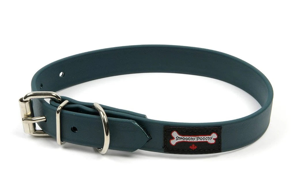 Smoochy Poochy Buckle Poly Vinyl Collar - 5/8" width