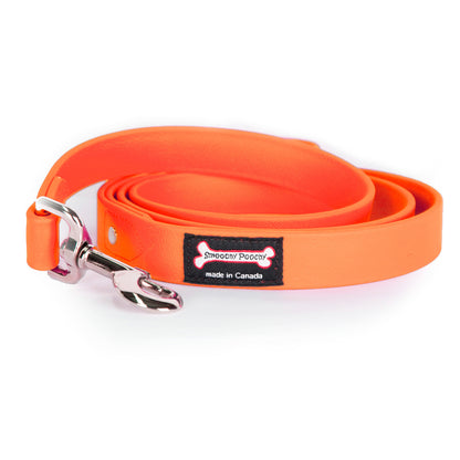 Smoochy Poochy Poly Vinyl Leash