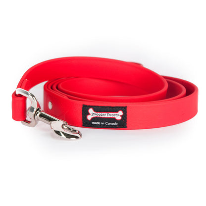 Smoochy Poochy Poly Vinyl Leash