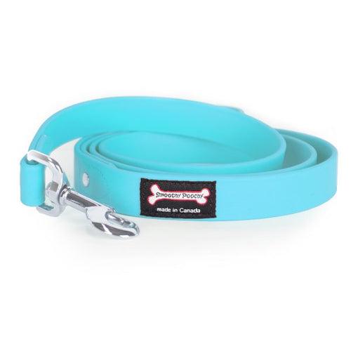 Smoochy Poochy Poly Vinyl Leash