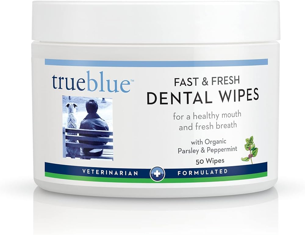 TrueBlue Fast & Fresh Dental Wipes